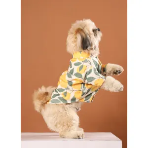 Dog Clothes