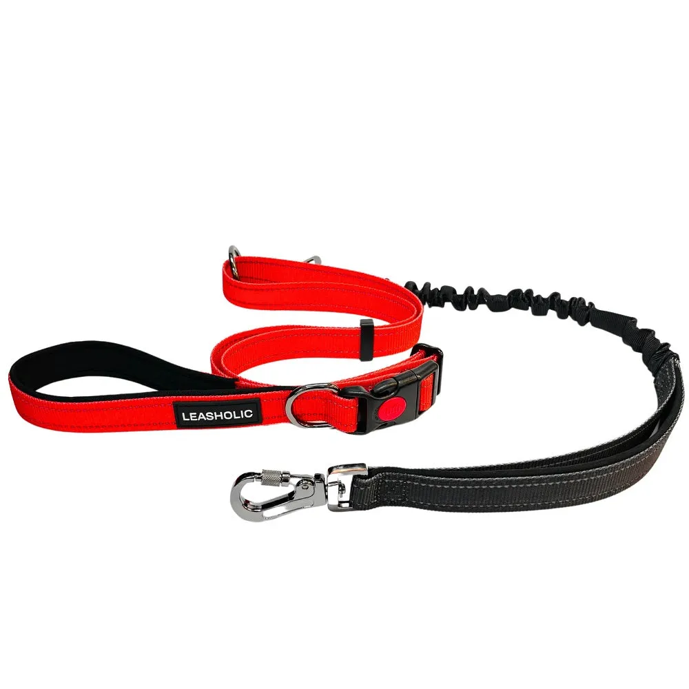 6 in 1 Multi-functional Hands-Free Dog Leash