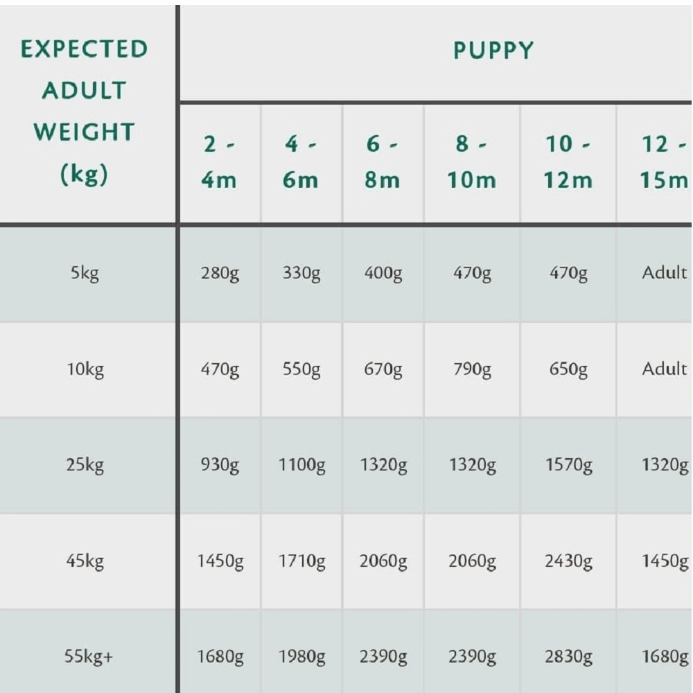 80% Gourmet Sausage Fresh Duck Wet Dog Food