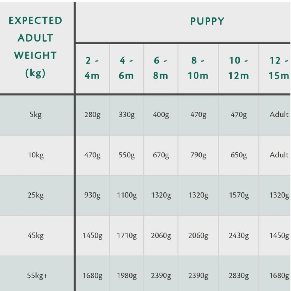 80% Gourmet Sausage Fresh Turkey Wet Dog Food