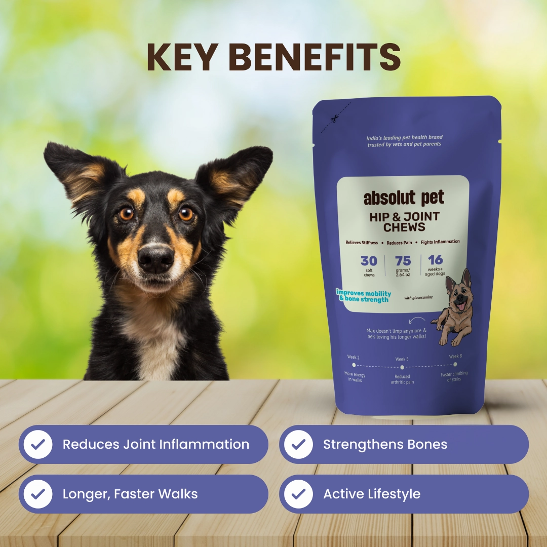 Absolut Pet Hip and Joint Care Dog Supplement