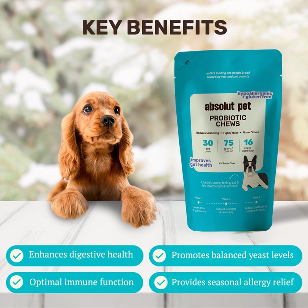 Absolut Pet Probiotics Hypoallergenic Gut Health Dog Supplement