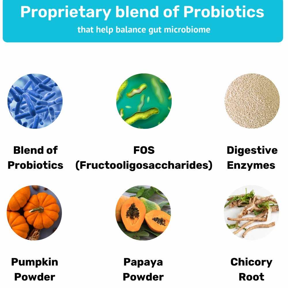 Absolut Pet Probiotics Hypoallergenic Gut Health Dog Supplement