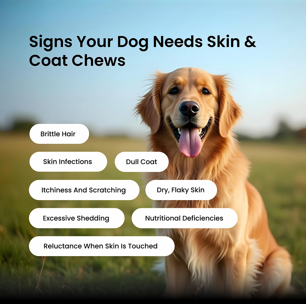 Absolut Pet Skin & Coat with Collagen and Biotin Dog Supplement