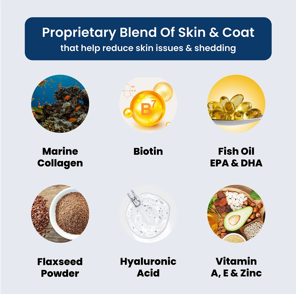 Absolut Pet Skin & Coat with Collagen and Biotin Dog Supplement