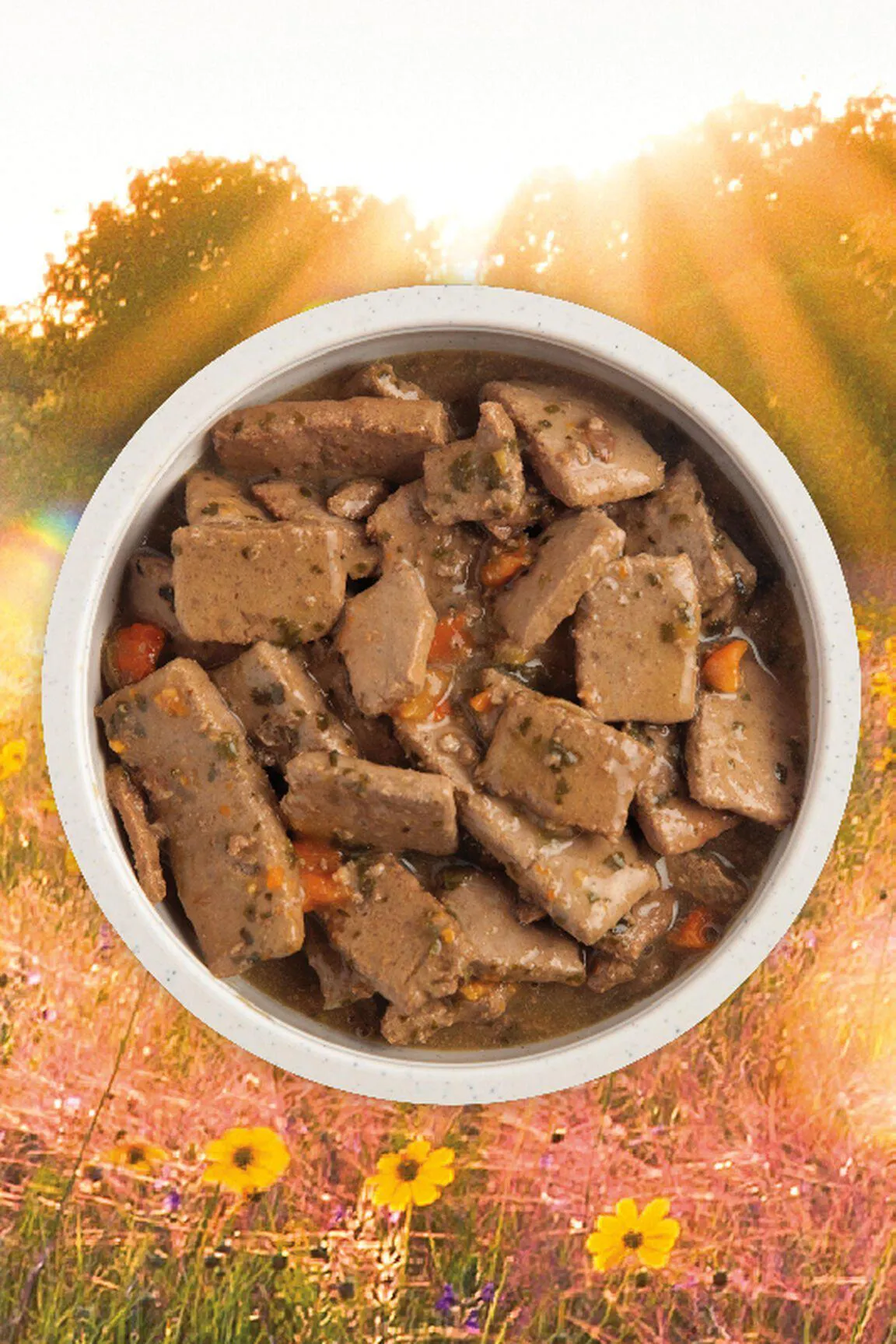 Acana Premium Chunks Beef in Bone Broth Wet Dog Food