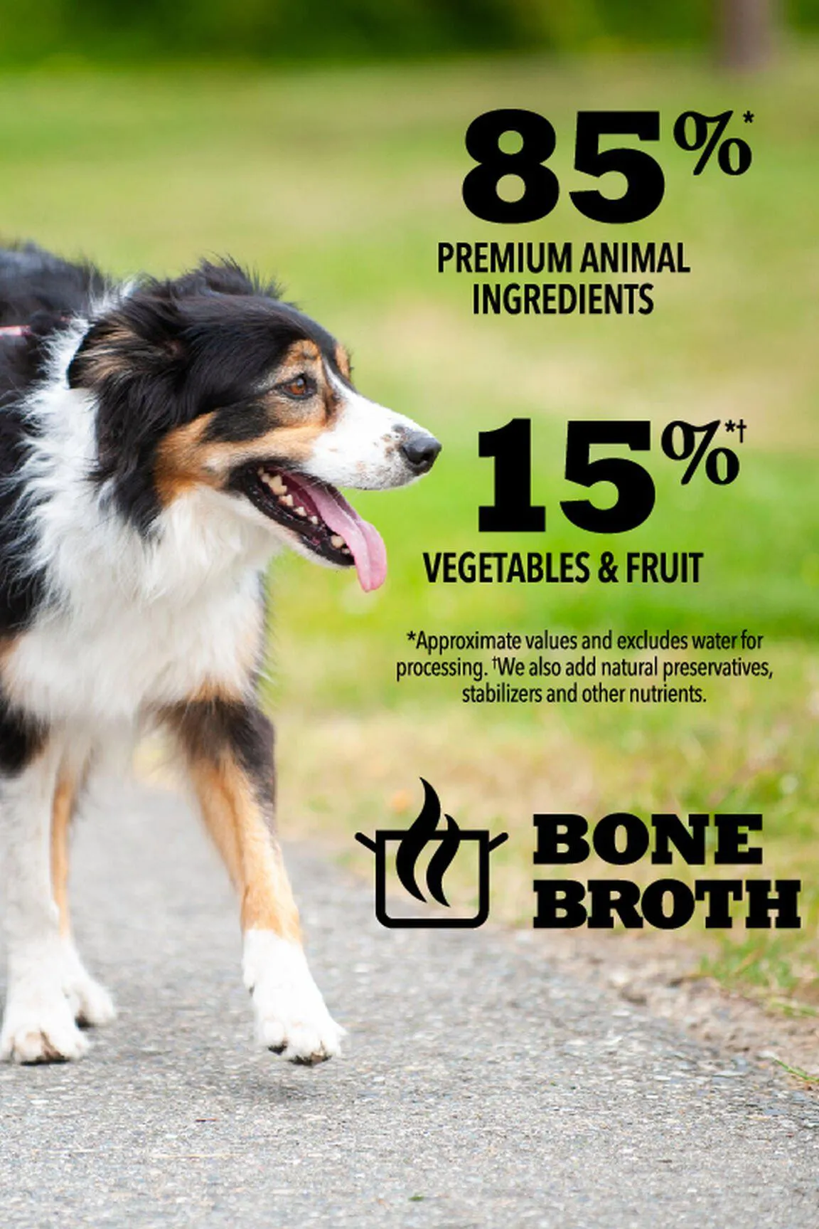 Acana Premium Chunks Beef in Bone Broth Wet Dog Food