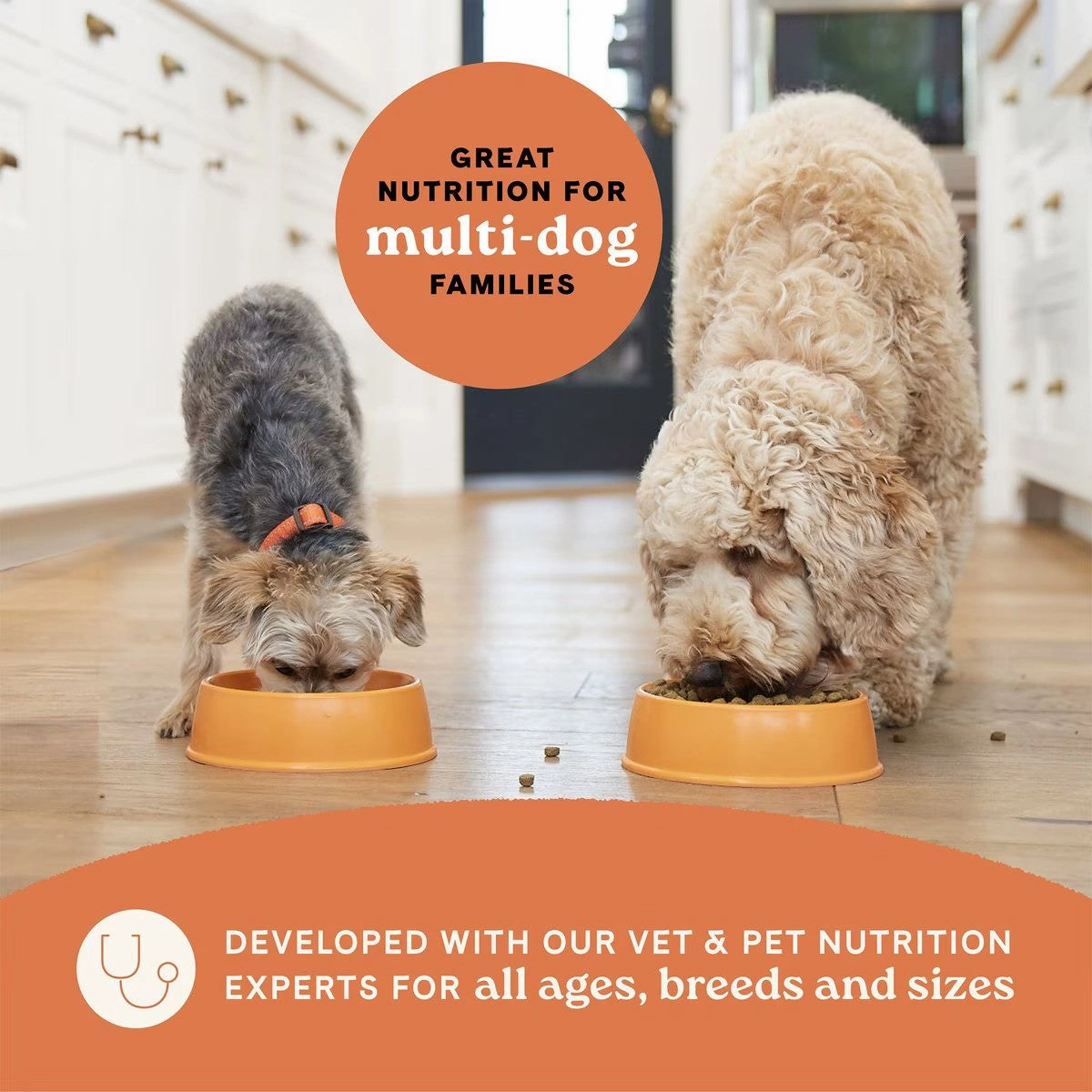 All Life Stages - Multi-Protein Formula Chicken, Turkey and Lamb Dog Dry Food