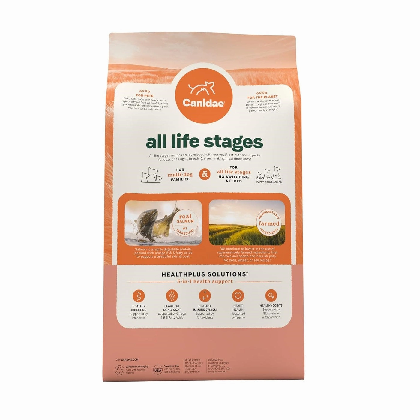 All Life Stages - Real Salmon & Ancient Dog Dry Food