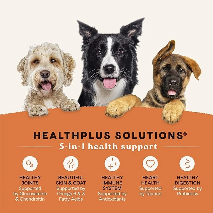 All Life Stages - Real Salmon & Ancient Dog Dry Food