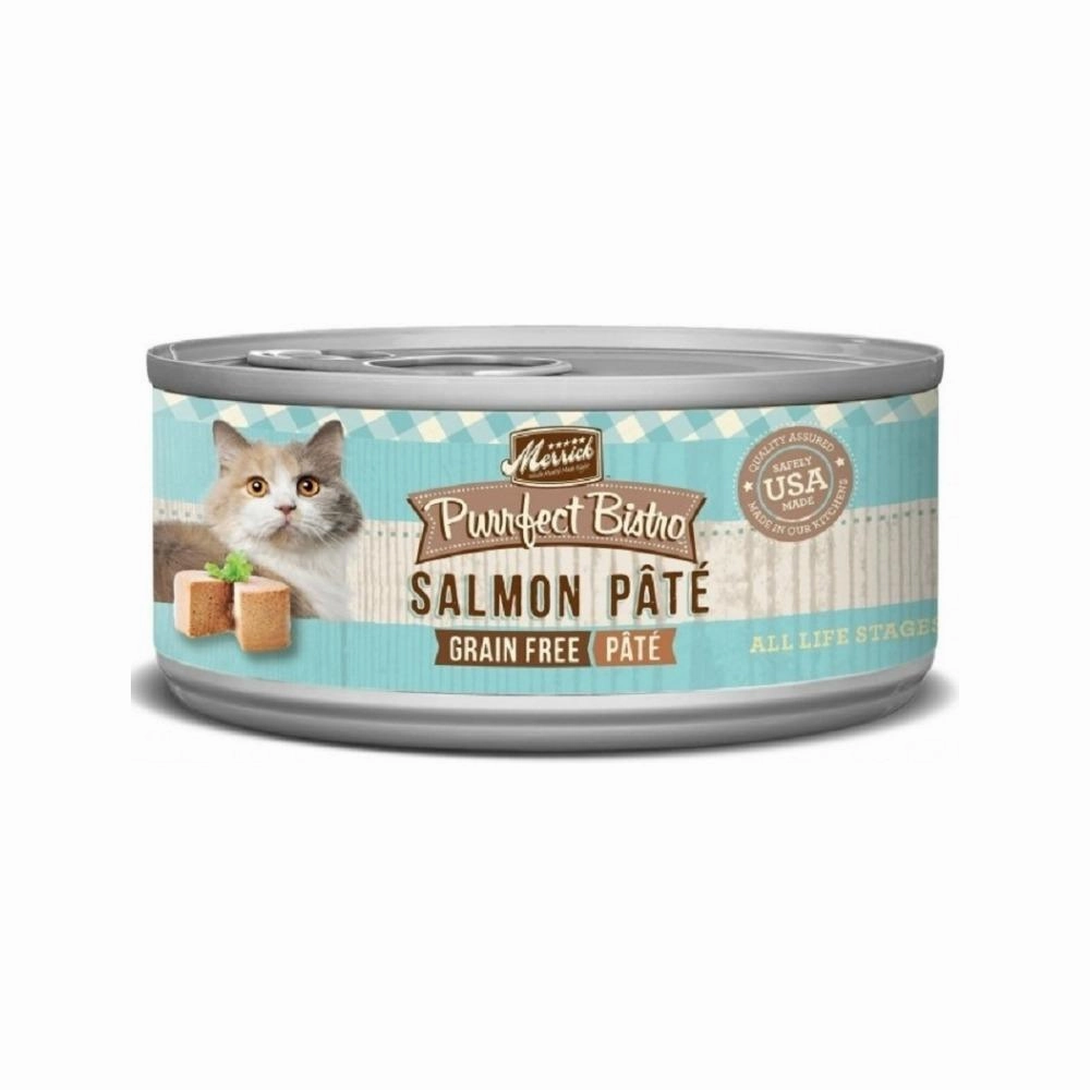 All Life Stages Grain Free Salmon Pate Cat Can