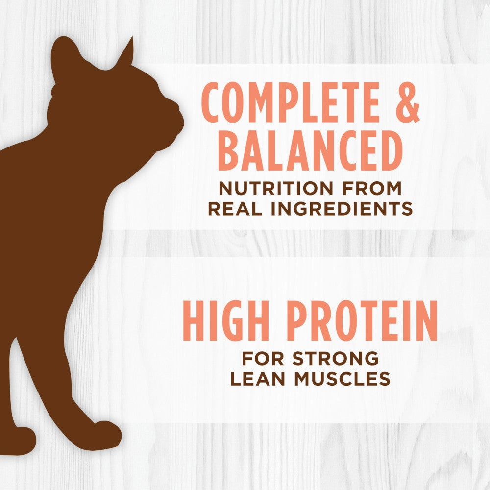 All Life Stages Original Grain Free Salmon & Beef Cat Can