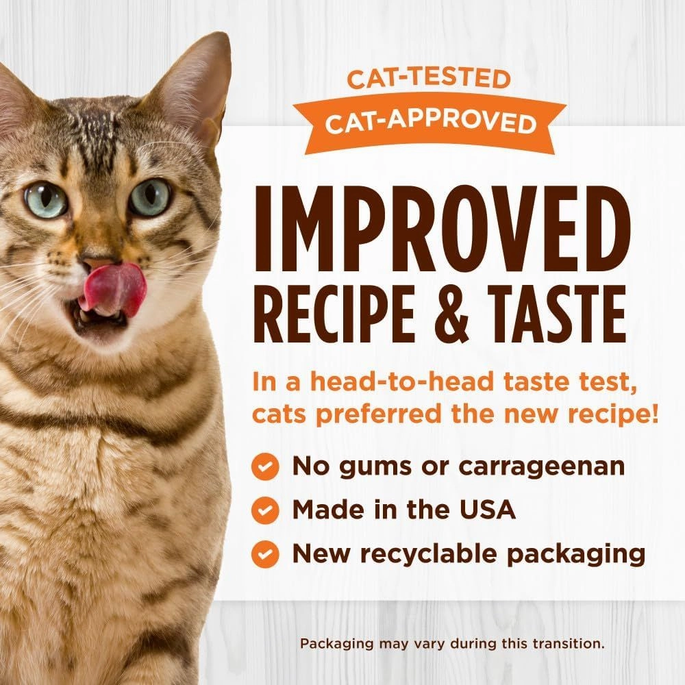 All Life Stages Original Grain Free Salmon & Pork Liver Cat Can