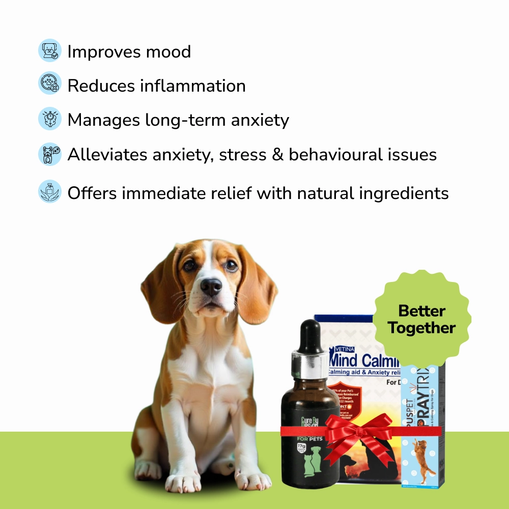Anxiety Relief Combo Superkit for Dogs