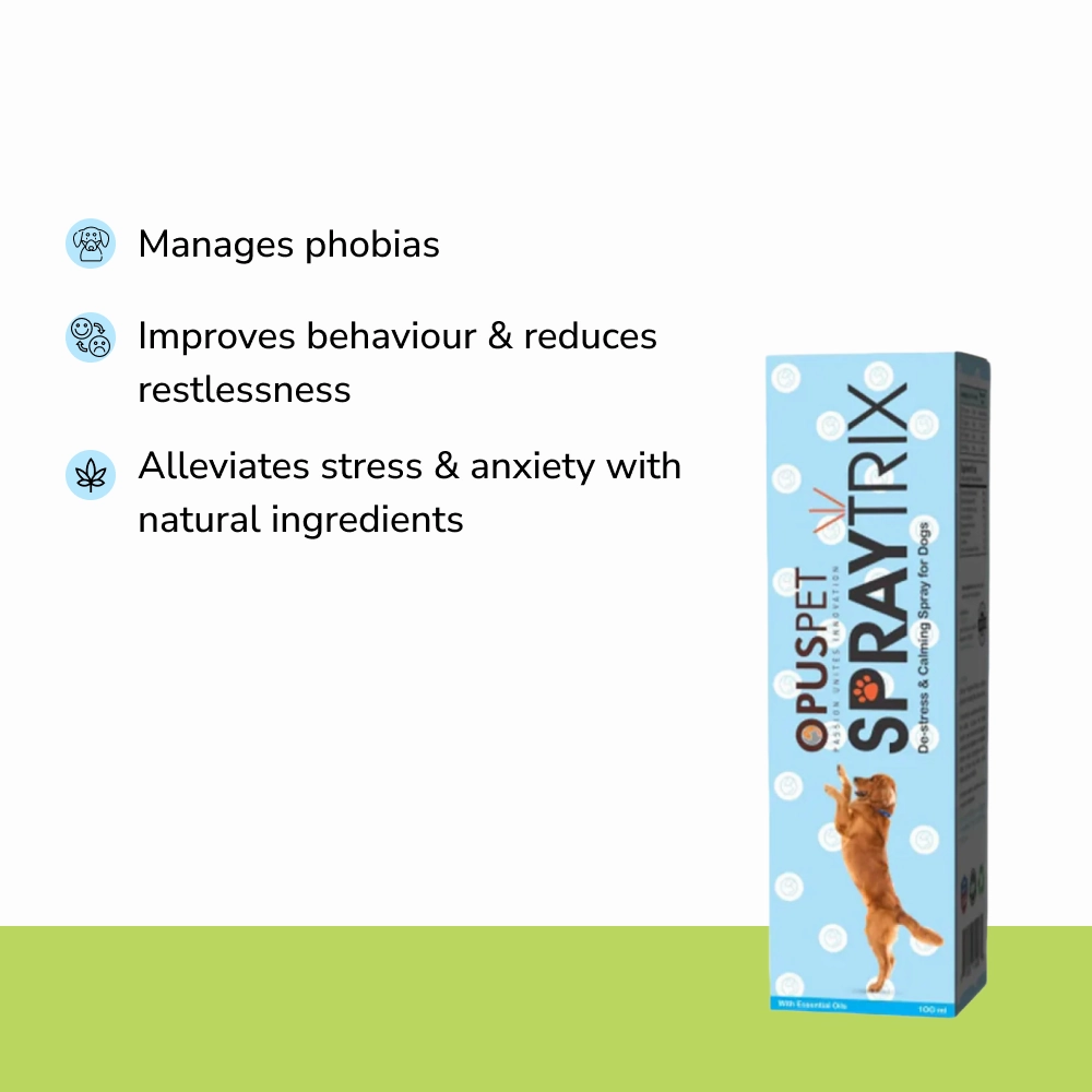 Anxiety Relief Combo Superkit for Dogs