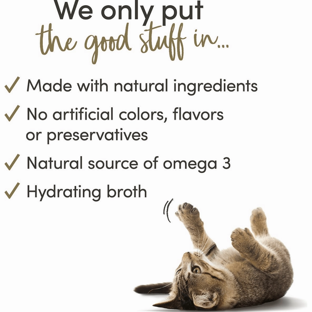 Applaws Tuna Fillet and Prawns Tinned Cat Wet Food (70g)