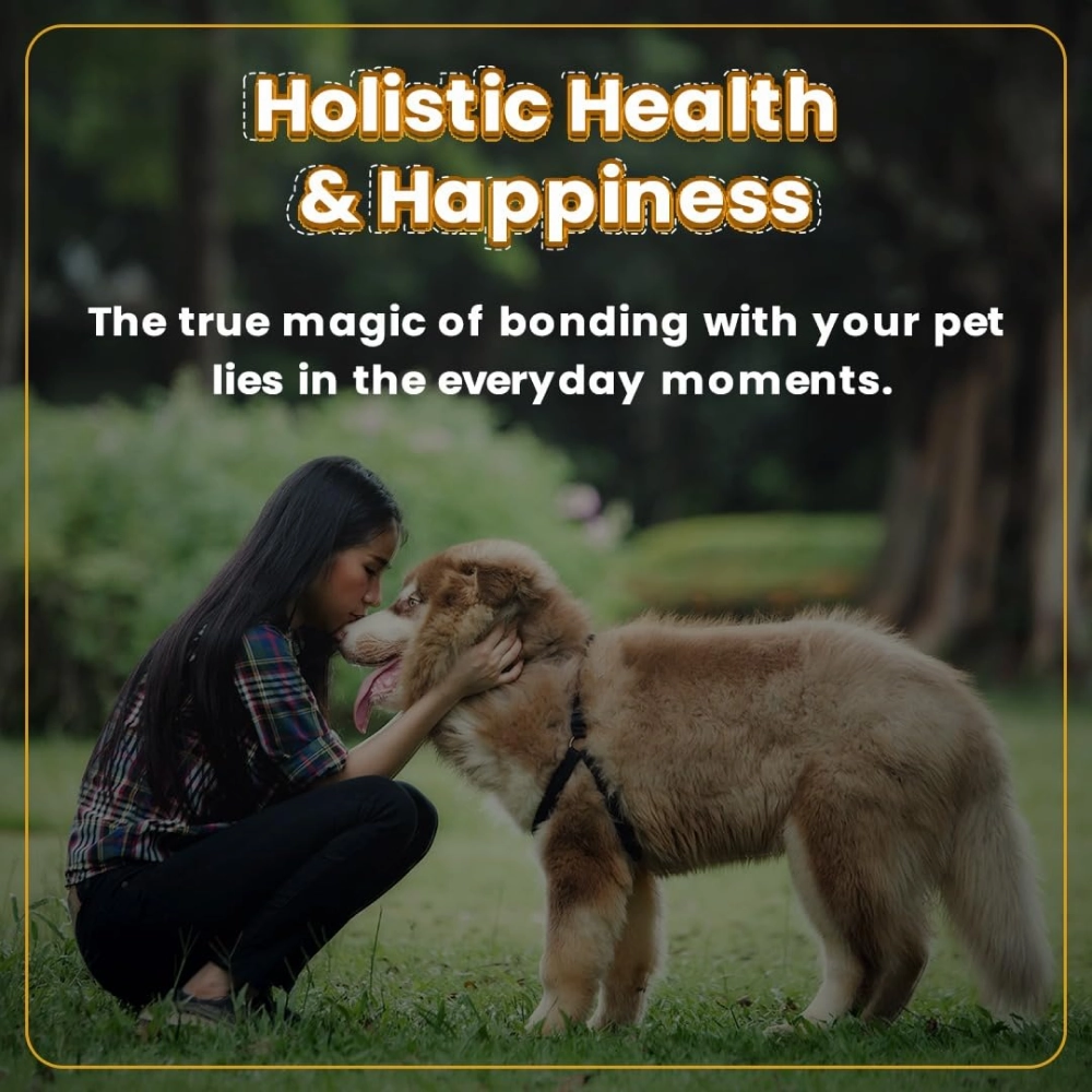 Bark Out Loud Immunity Multi Vitamin Chew Stix and Henlo Chicken Jerky Treat Combo for Dogs