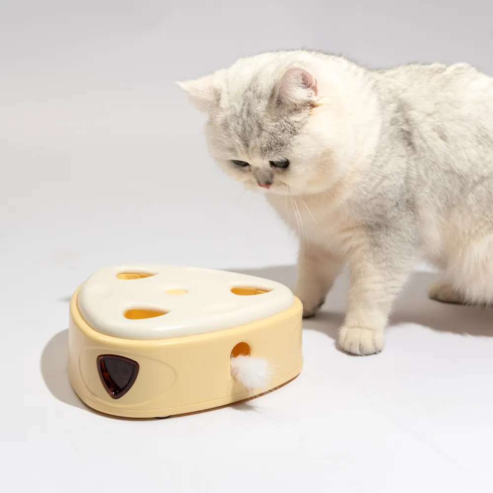 Barkbutler x Fofos Cheese Box Interactive Toy for Cats