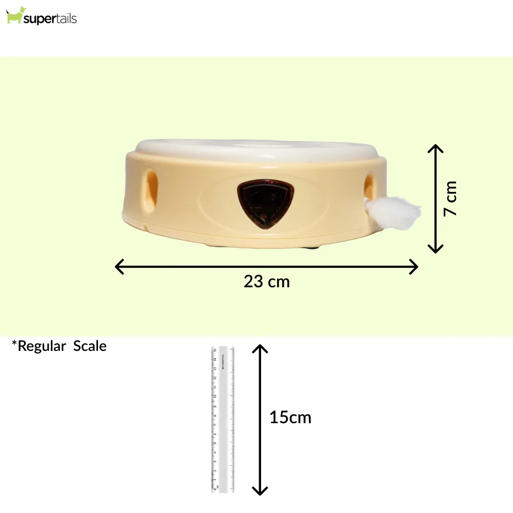 Barkbutler x Fofos Cheese Box Interactive Toy for Cats
