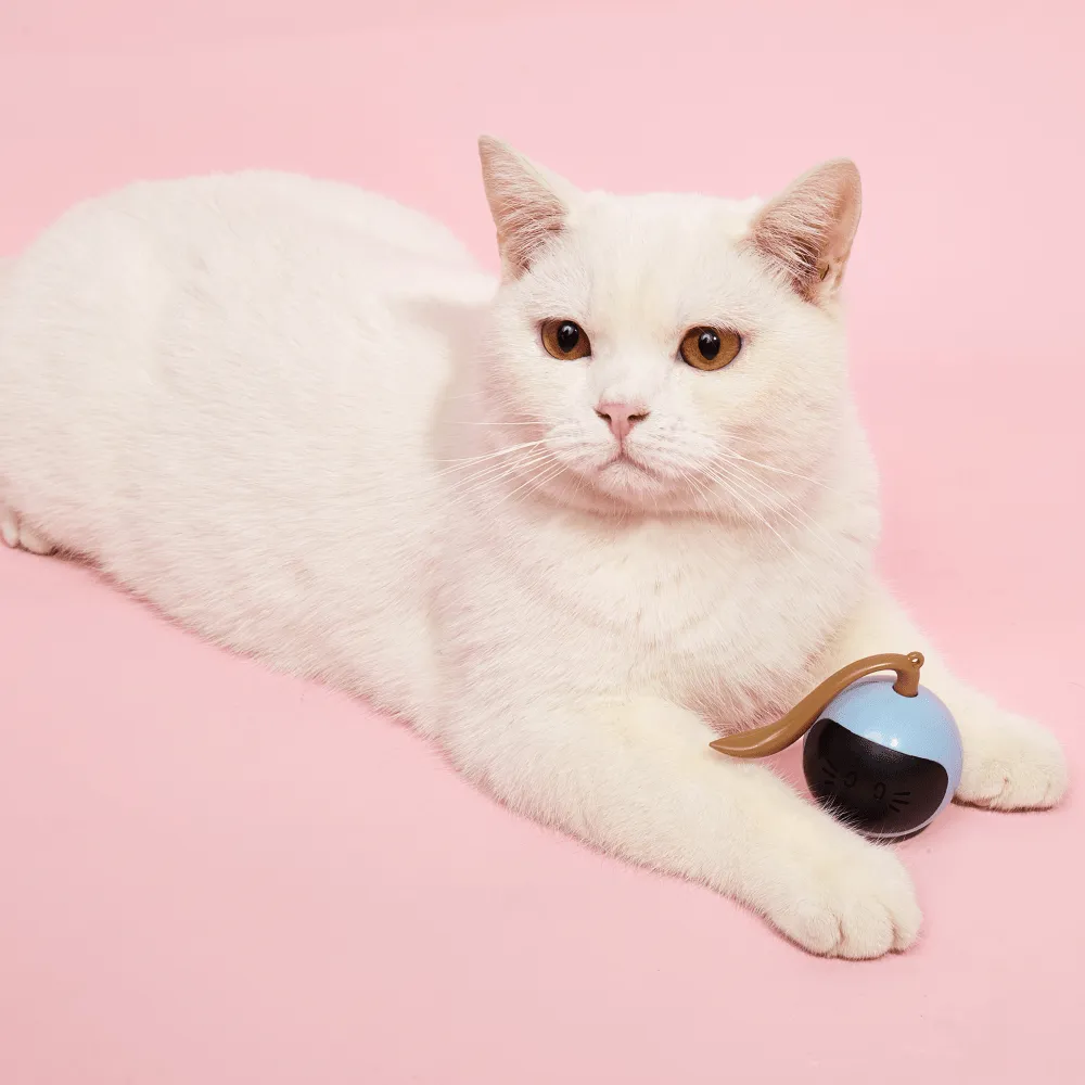 Barkbutler x Fofos Magic Ball Tumbler Smart Toy for Cats (White)