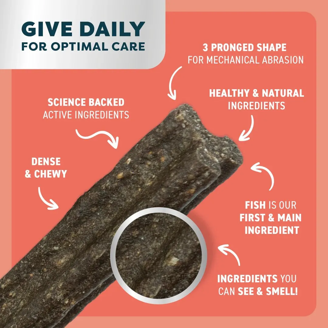 Bell & Bone - Salmon with Mint & Charcoal Dog Dental Treats