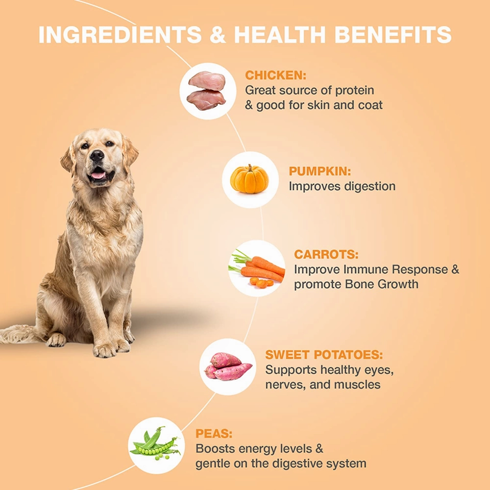 Bennys Bowl Chicken and Pumpkin Dog Fresh and Wet Food