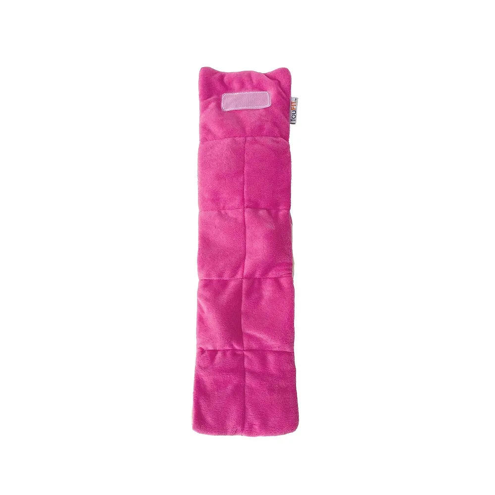 Birthday Roll Hide 'n Seek Dog Toy