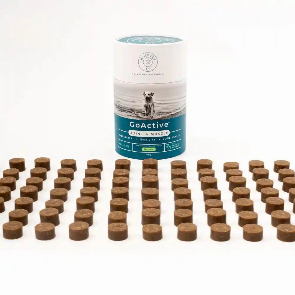 Blue Pet Co Go Active Peanut Butter Flavor Joint & Muscle Chews for Dogs