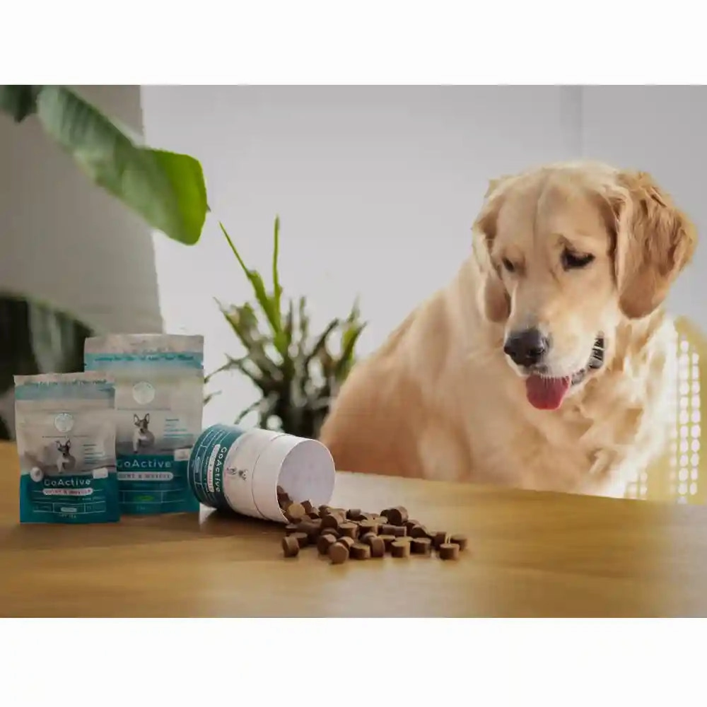Blue Pet Co Go Active Peanut Butter Flavor Joint & Muscle Chews for Dogs