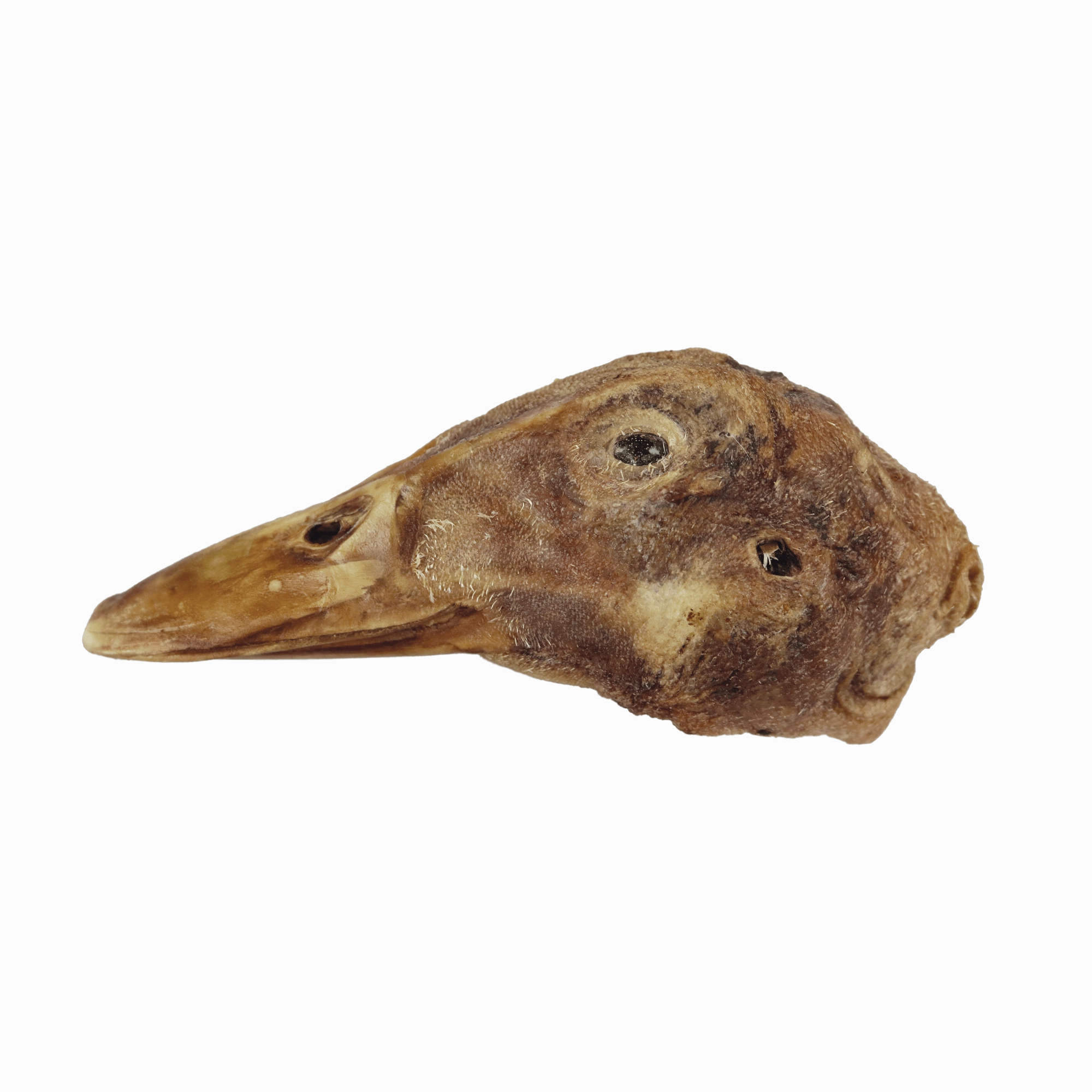 Bones & Co Freeze Dried Duck Head