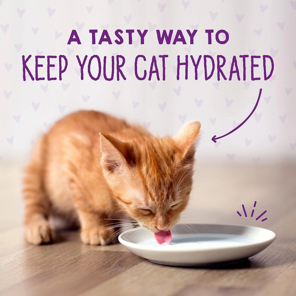 Carnivore Cravings  Kitten Chicken & Salmon 100% Complete Balance Diet Recipe Wet Cat Can