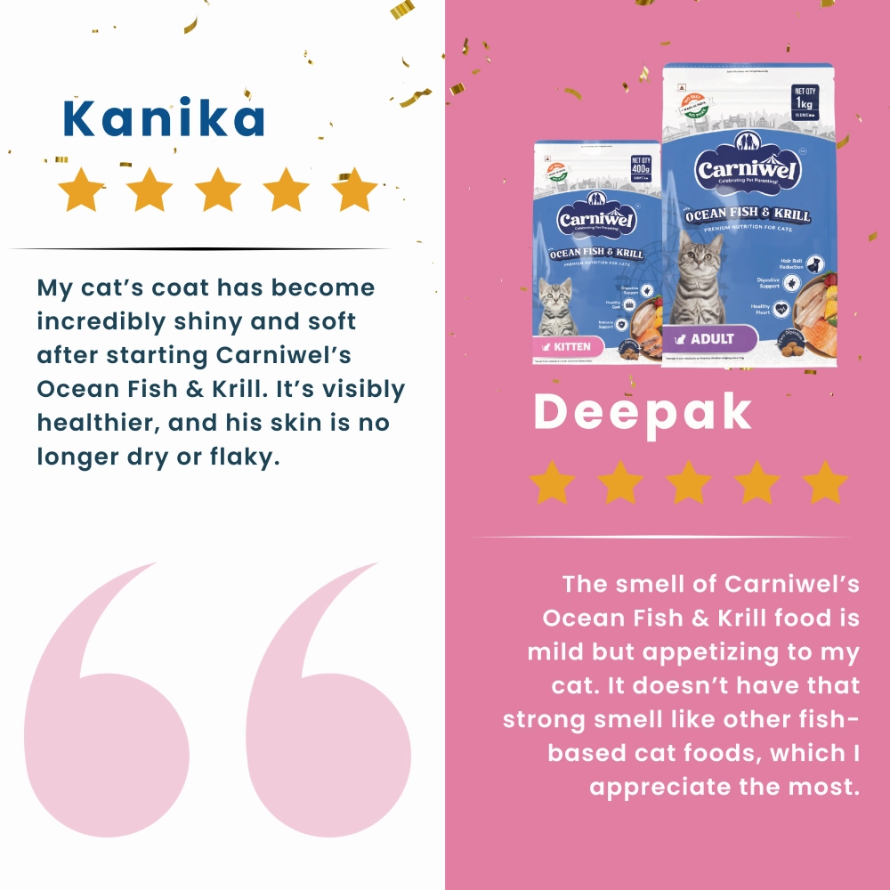 Carniwel Ocean Fish and Krill Dry Food and Sheba Tuna Pumpkin & Carrot In Gravy Rich Premium Adult Cat Wet Food Combo