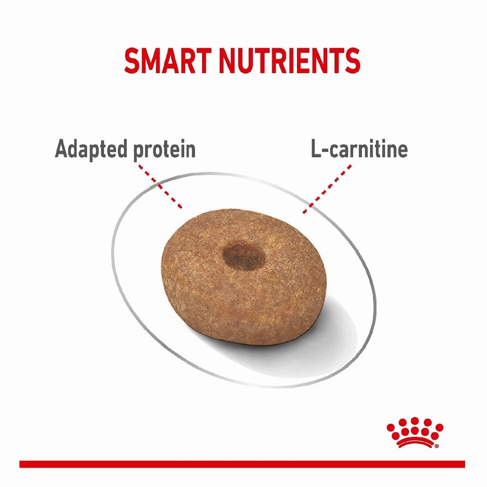 CCN Mini Light Weight Care Dog Dry Food