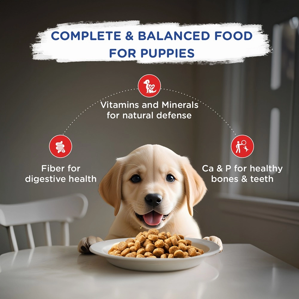 Chappi Chicken & Milk Dry Puppy Food