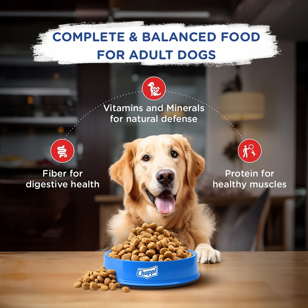 Chappi Chicken & Rice Adult Dog Dry Food