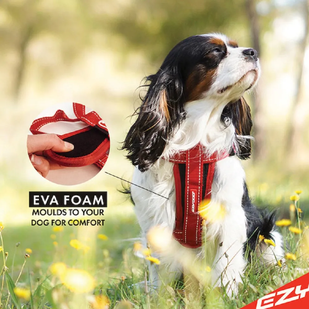 Chestplate Dog Harness