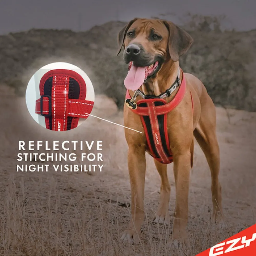 Chestplate Dog Harness