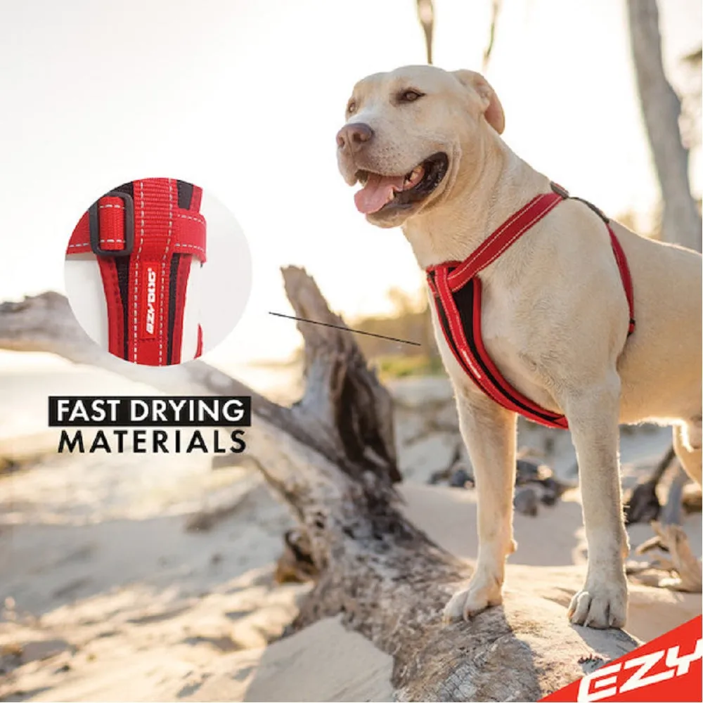Chestplate Dog Harness