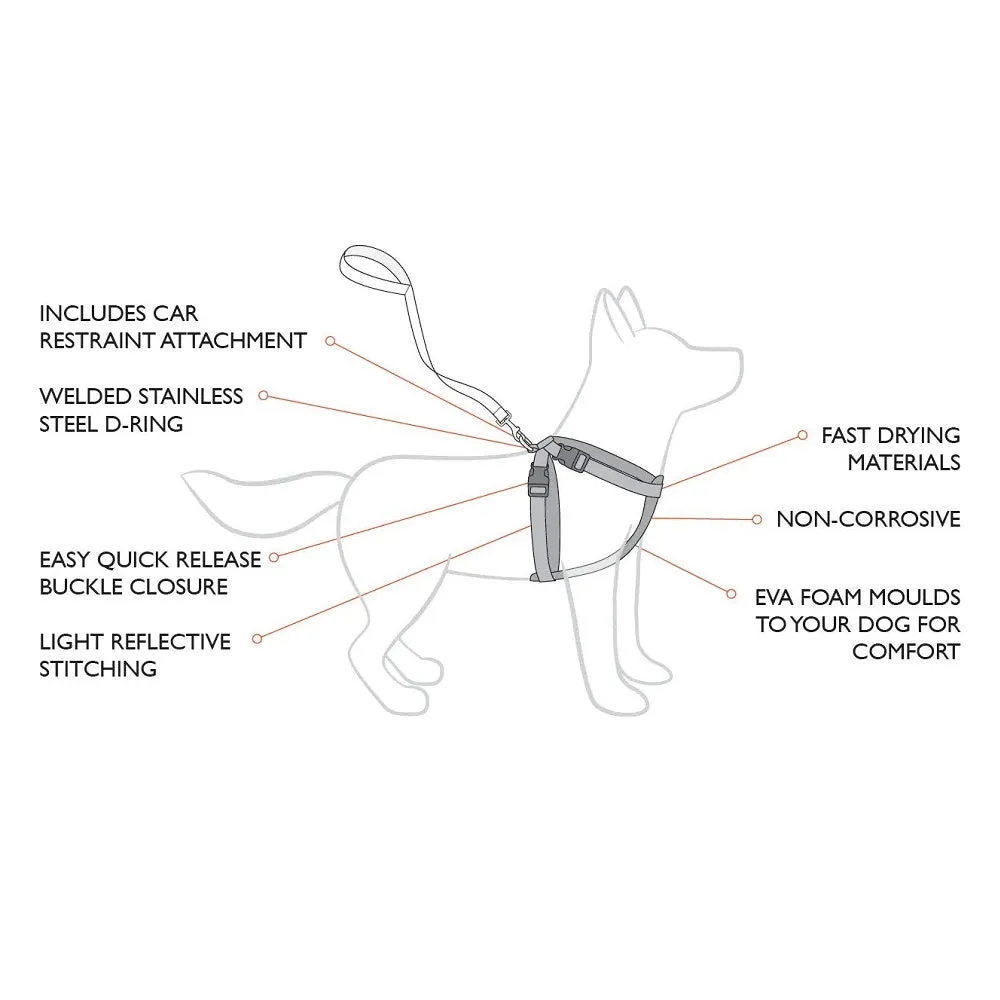 Chestplate Dog Harness