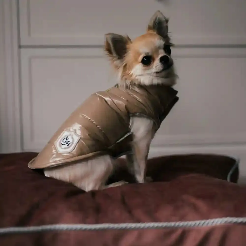 Chloe's Home Bergamo Vest Sweatshirt for Dogs (Green)