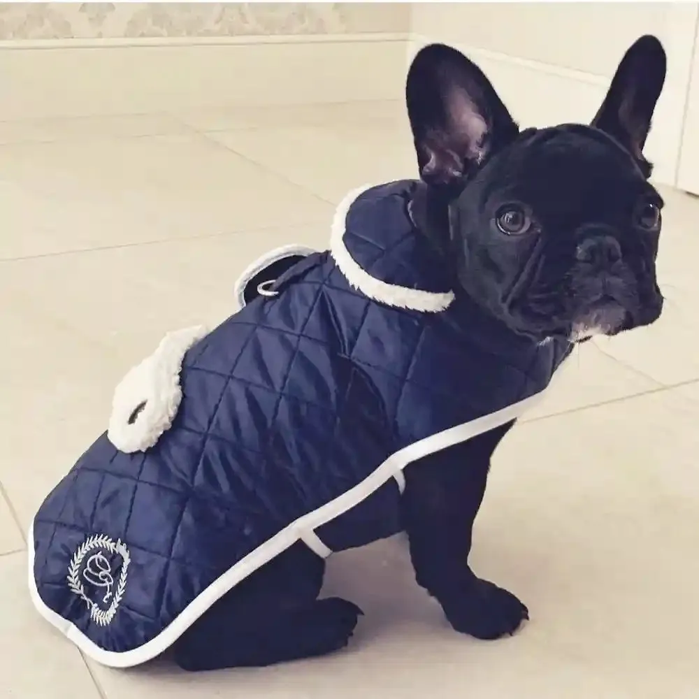 Chloe's Home Sienna Winter Jacket for Dogs (Blue)