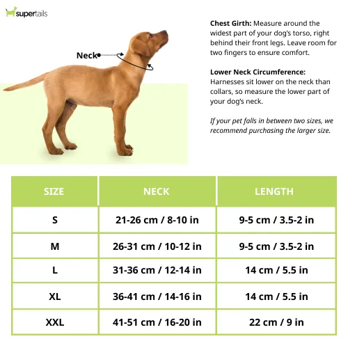 Chloe's Home Stockholm Warm Bandana for Dogs (Green)