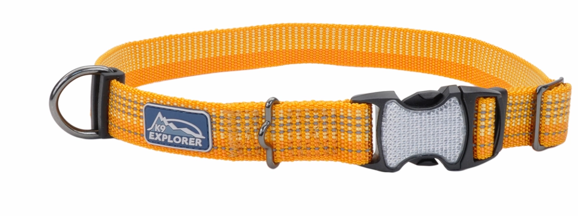 Coastal K9 Explorer Brights Reflective Dog Collar