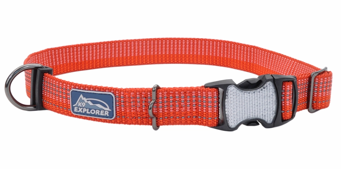 Coastal K9 Explorer Brights Reflective Dog Collar