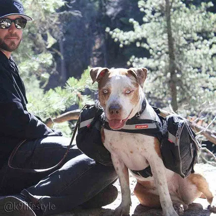 Convert Dog Harness