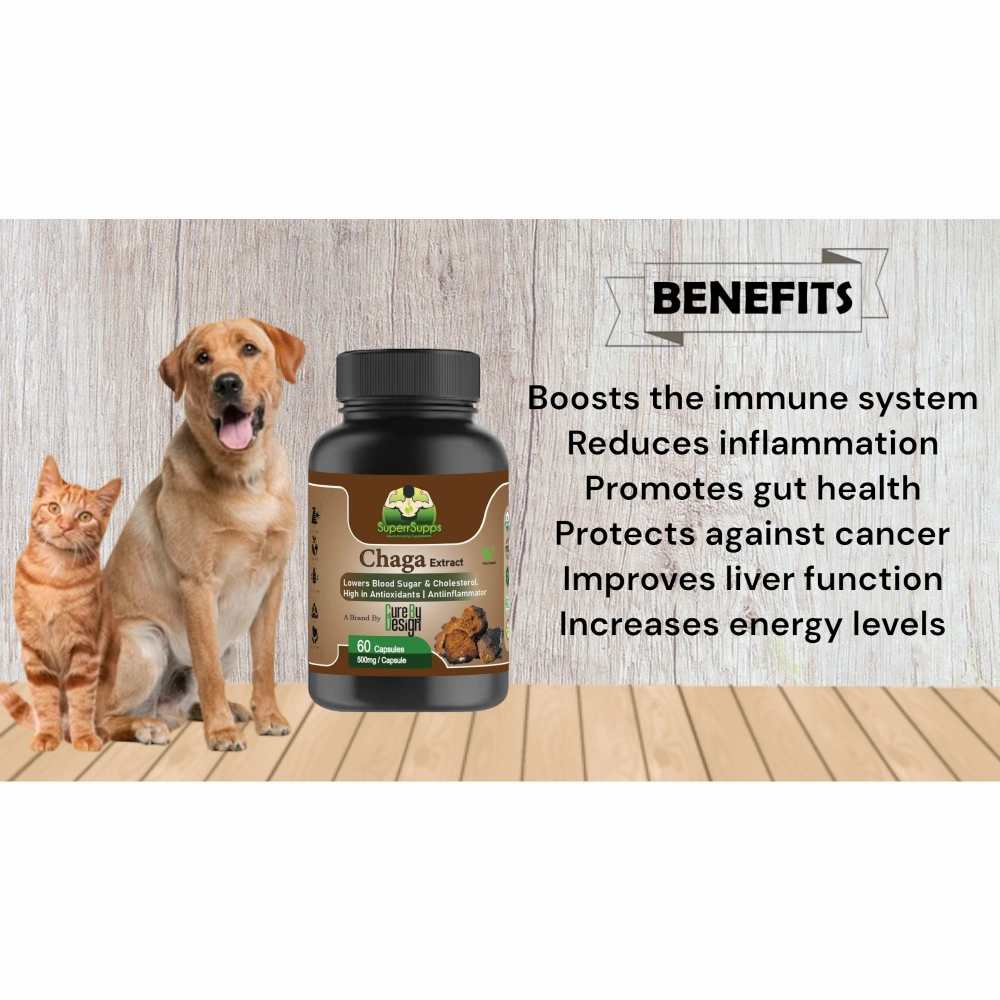 Cure By Design Chaga Mushroom Capsules for Dogs and Cats