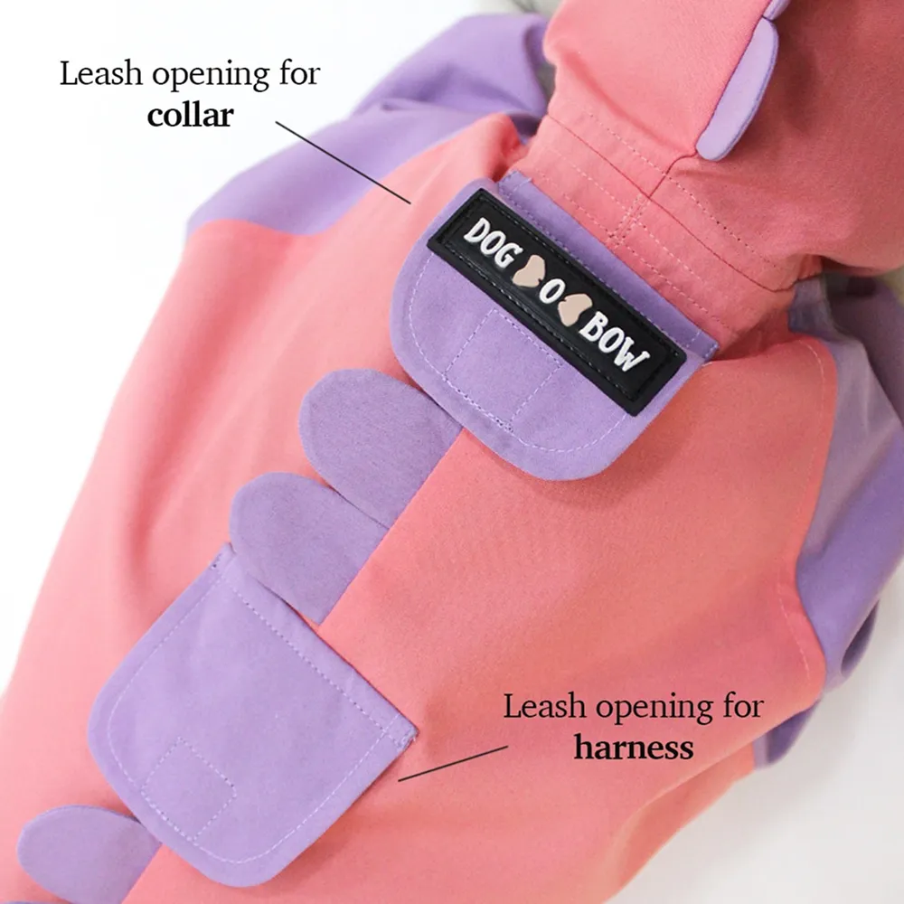 Dogobow Bubble's Dino Raincoat for Dogs and Cats (Pink/Purple)