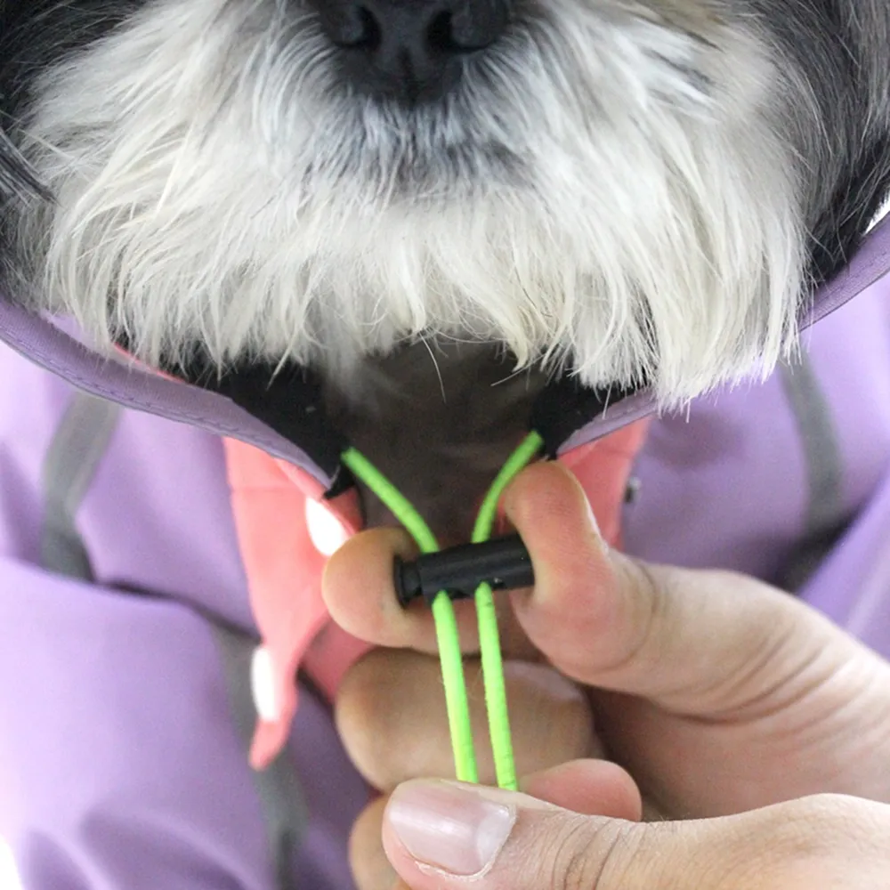 Dogobow Bubble's Dino Raincoat for Dogs and Cats (Pink/Purple)