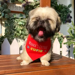 Dogobow Mama's Little Cupid Scarf for Dogs (Red) (Get a Bow Free)