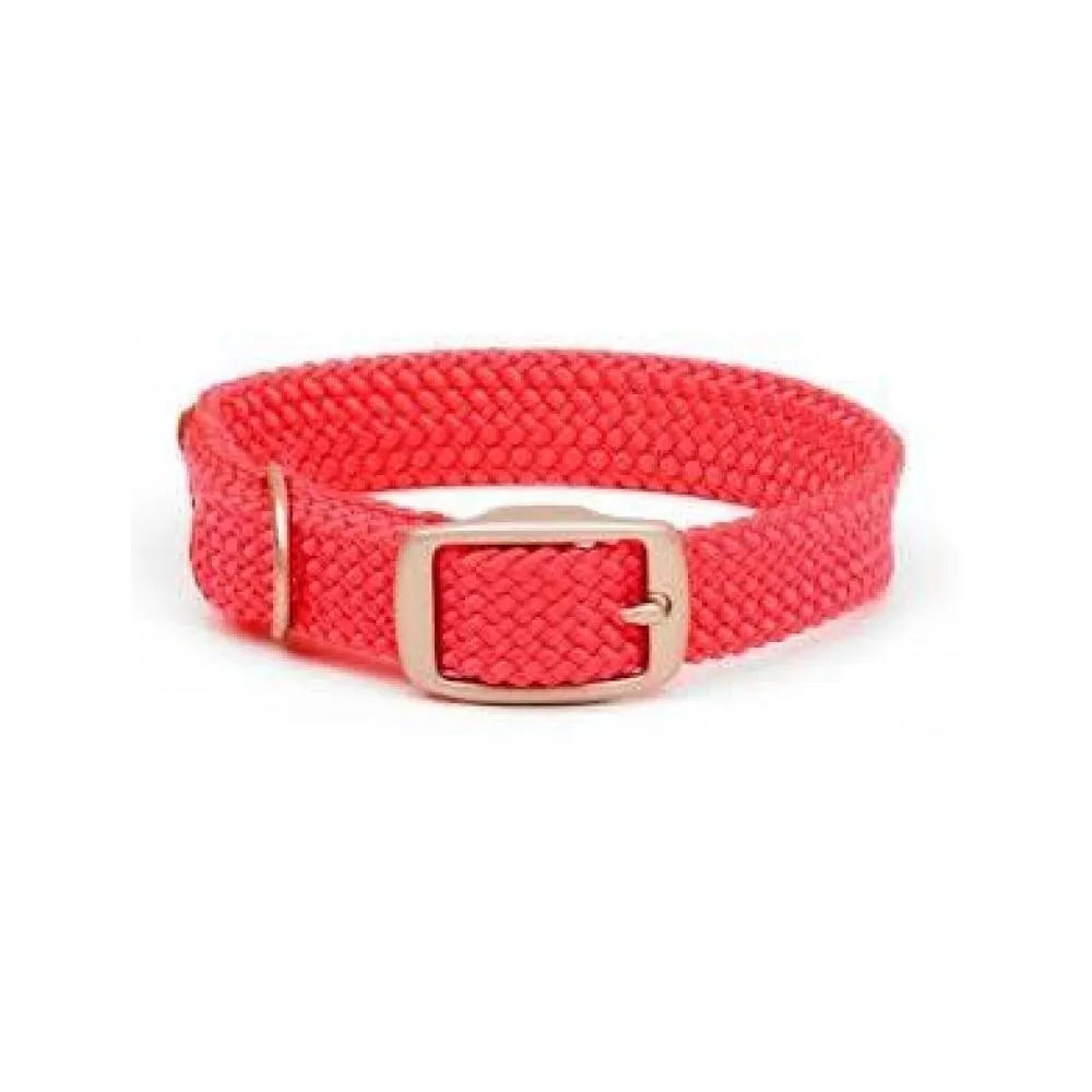 Double Braid Dog Collar